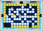 ピットポット