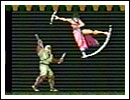 ザ・スーパー忍