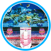 AQUA STAGE（アクアステージ）