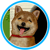 犬のおさんぽ