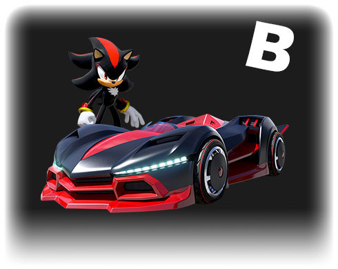 チームソニックレーシング DARK REAPER(シャドウ)
