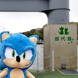 宮城県「田代島(猫島)」